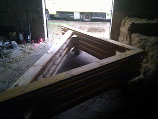 Roof trusses for the Winter Palace