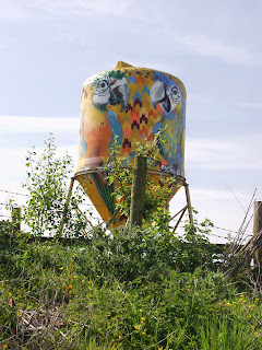 The old feed store, with Alice's parrots. All photographs in this post are from  Standingstone.