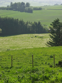 View over the commons