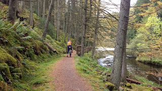 Myself in Ae forest on our second ride.