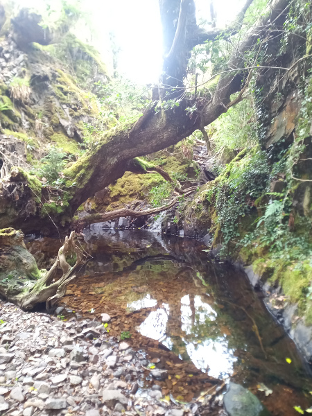 The Hill of Screel gorge