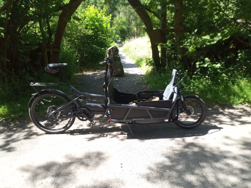 A grey cargo bike parked in sunlight outside the rustic gateway to green woodland
