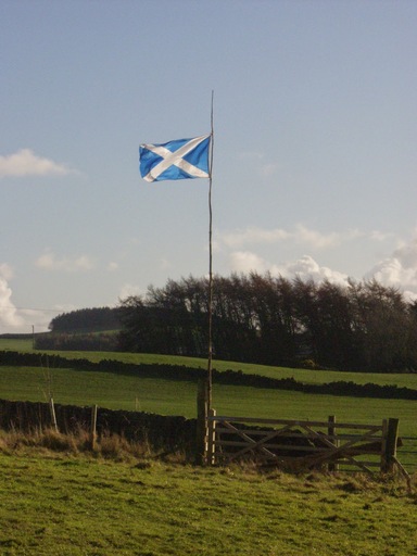 A saltire flying at my gate