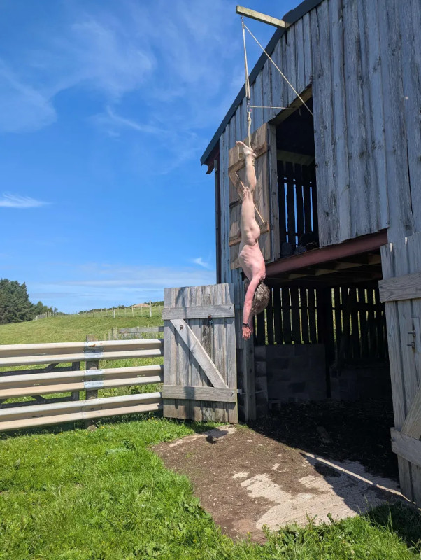 The hanged man