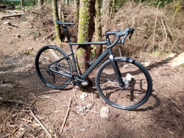 My dark grey Cannondale Topstone Neo leaning against a tree in the wreck of my wood. It is a large, rangy, drop handlebar bike, with  disk brakes, and fatter tyres than would be normal on a road bike. Nothing in the picture identifies it as an electrically assisted bicycle, although it is one.