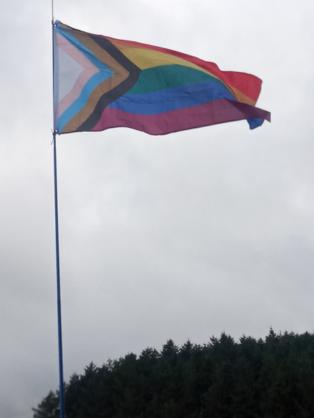 Trans pride flag flying over my house