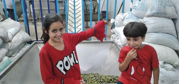 Two happy children between sacks of harvested olives.