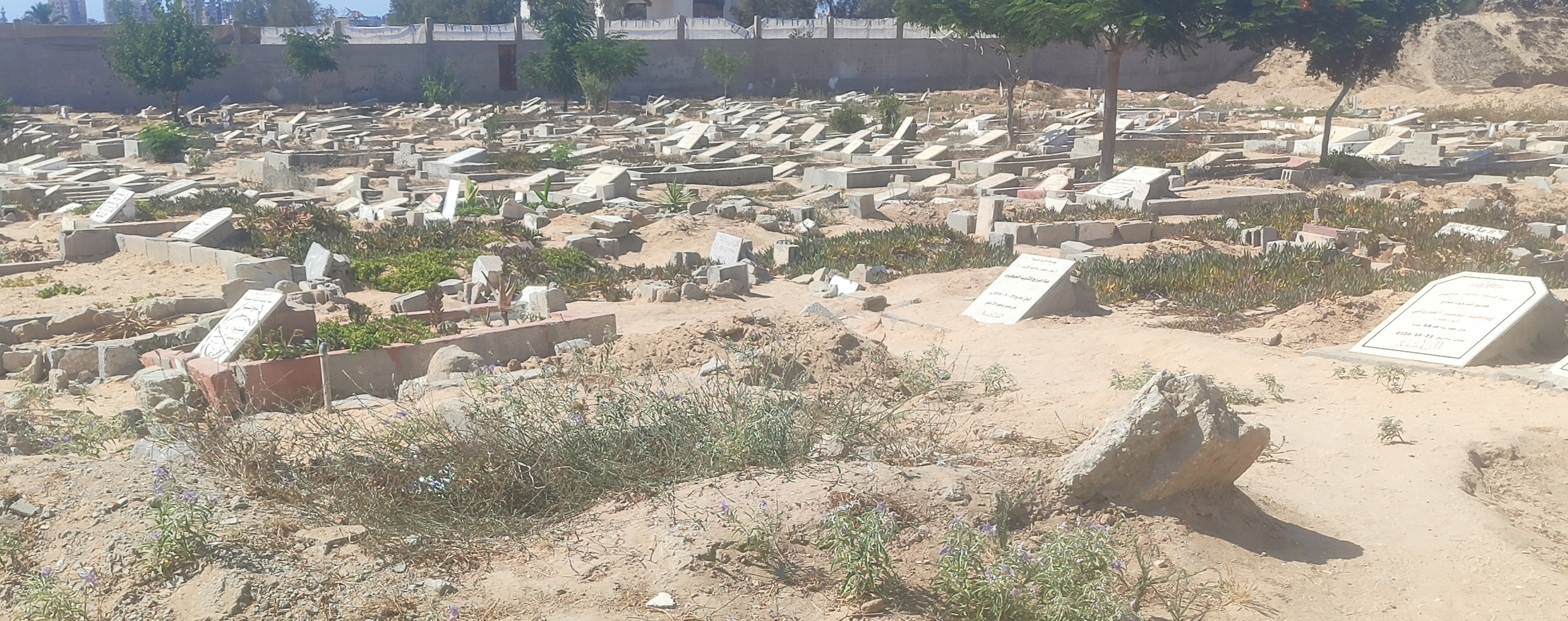 The graves of my friends, in the sand of Gaza